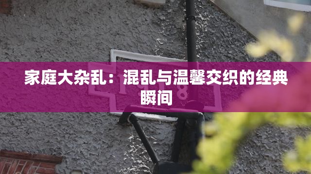 家庭大杂乱：混乱与温馨交织的经典瞬间