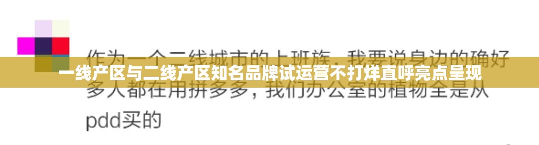 一线产区与二线产区知名品牌试运营不打烊直呼亮点呈现