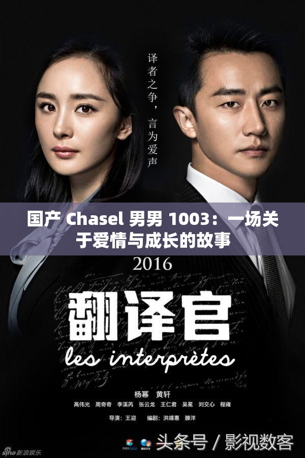 国产 Chasel 男男 1003：一场关于爱情与成长的故事