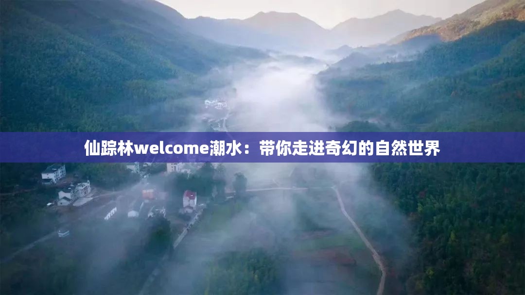 仙踪林welcome潮水：带你走进奇幻的自然世界