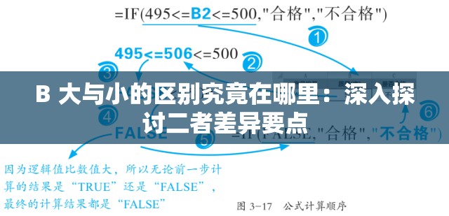 B 大与小的区别究竟在哪里：深入探讨二者差异要点