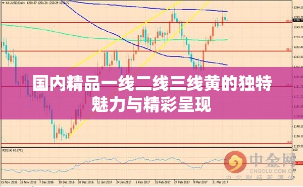 国内精品一线二线三线黄的独特魅力与精彩呈现