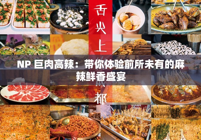 NP 巨肉高辣：带你体验前所未有的麻辣鲜香盛宴