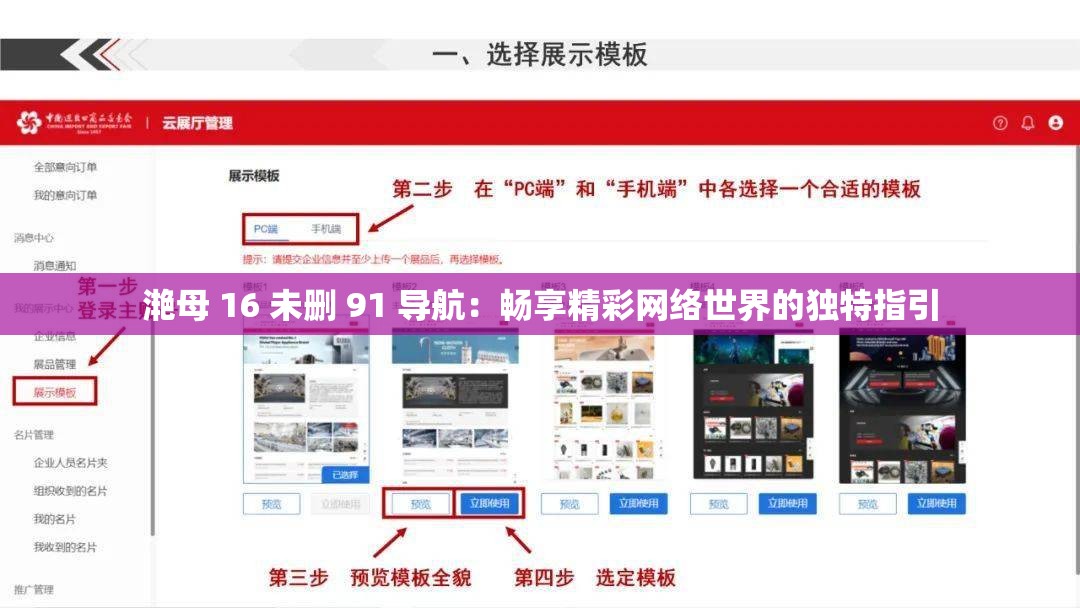 滟母 16 未删 91 导航：畅享精彩网络世界的独特指引