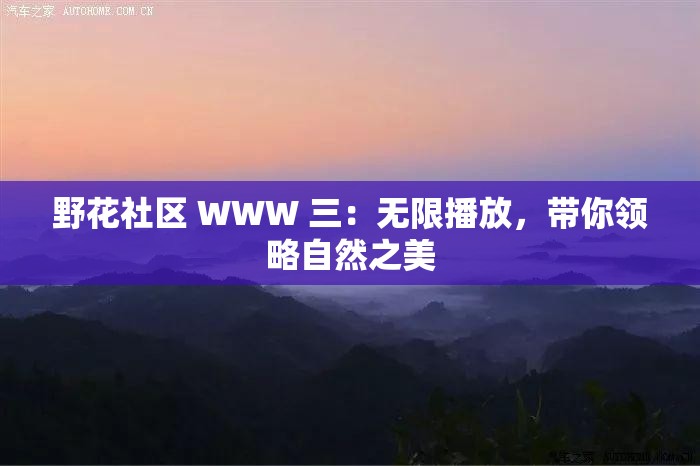 野花社区 WWW 三：无限播放，带你领略自然之美