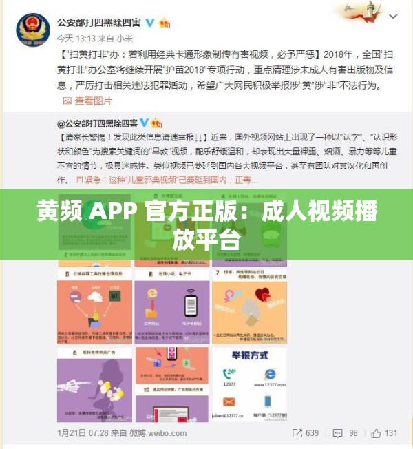 黄频 APP 官方正版：成人视频播放平台