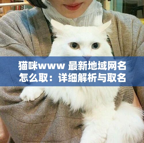 猫咪www 最新地域网名怎么取：详细解析与取名建议