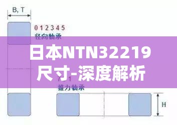 日本NTN32219 尺寸-深度解析其规格特点及应用领域