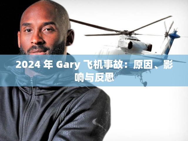 2024 年 Gary 飞机事故：原因、影响与反思