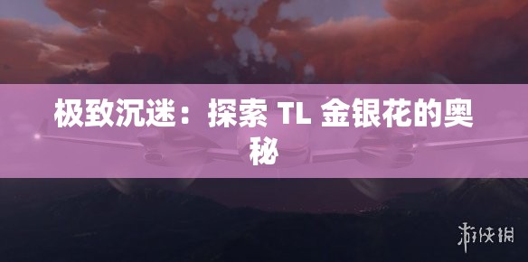 极致沉迷：探索 TL 金银花的奥秘