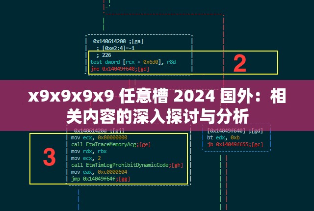 x9x9x9x9 任意槽 2024 国外：相关内容的深入探讨与分析