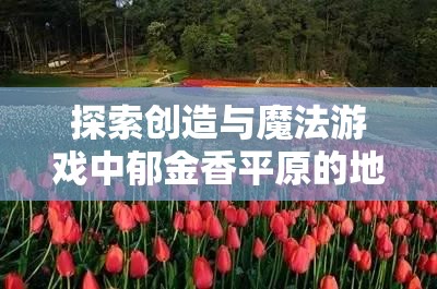 探索创造与魔法游戏中郁金香平原的地图位置及实现资源管理与价值最大化的策略