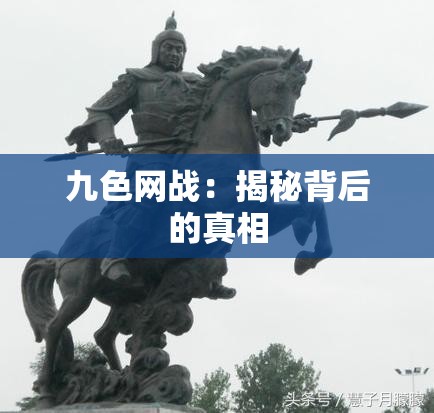 九色网战：揭秘背后的真相