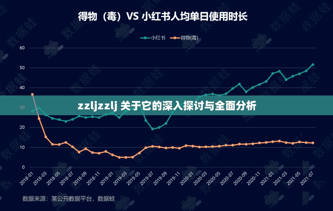 zzljzzlj 关于它的深入探讨与全面分析