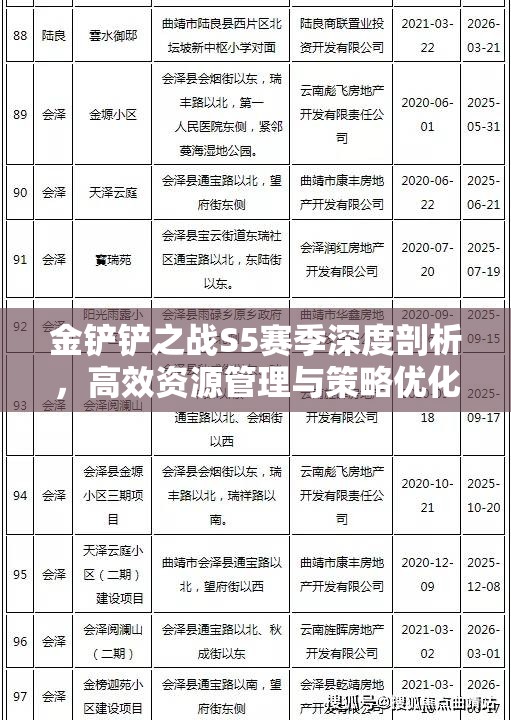 金铲铲之战S5赛季深度剖析，高效资源管理与策略优化指南