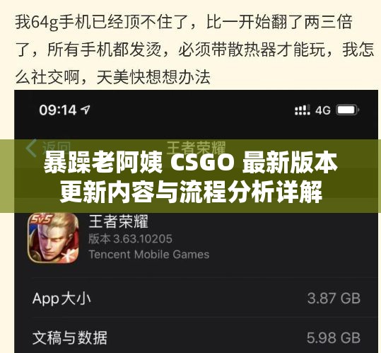 暴躁老阿姨 CSGO 最新版本更新内容与流程分析详解