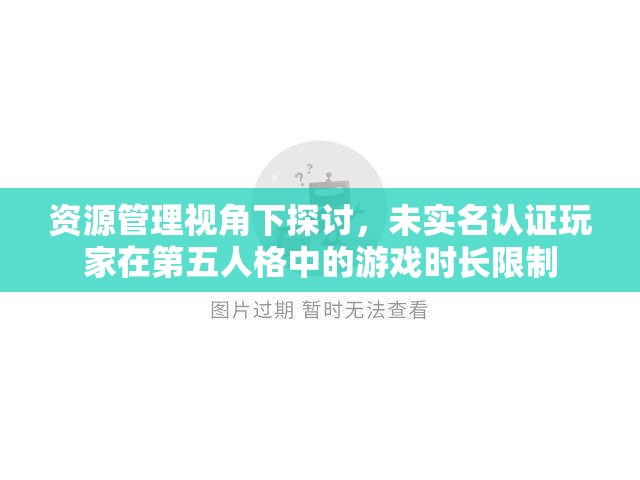 资源管理视角下探讨，未实名认证玩家在第五人格中的游戏时长限制