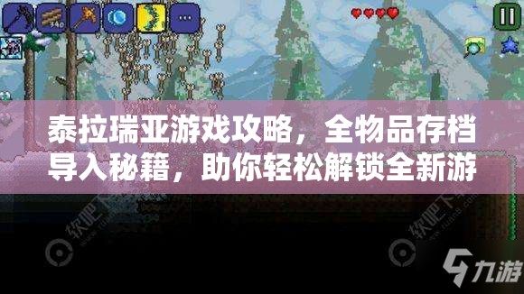 泰拉瑞亚游戏攻略，全物品存档导入秘籍，助你轻松解锁全新游戏体验