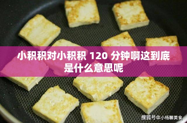 小积积对小积积 120 分钟啊这到底是什么意思呢