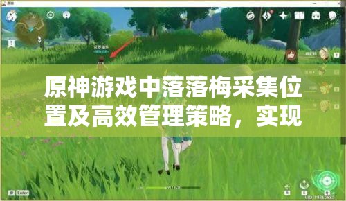 原神游戏中落落梅采集位置及高效管理策略，实现资源价值最大化