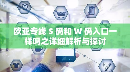 欧亚专线 S 码和 W 码入口一样吗之详细解析与探讨