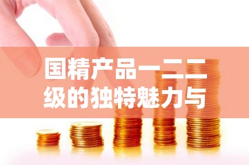 国精产品一二二级的独特魅力与价值呈现