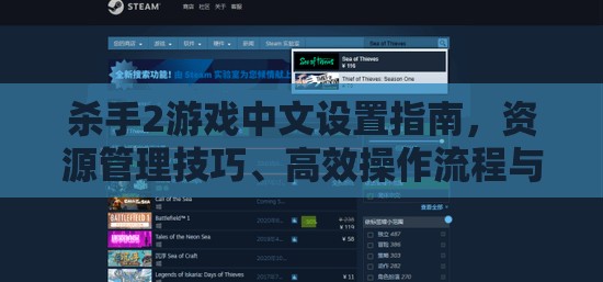 杀手2游戏中文设置指南，资源管理技巧、高效操作流程与价值最大化策略