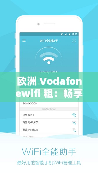 欧洲 Vodafonewifi 粗：畅享网络便捷之旅