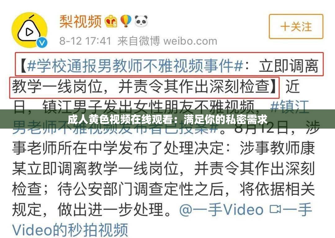 成人黄色视频在线观看：满足你的私密需求