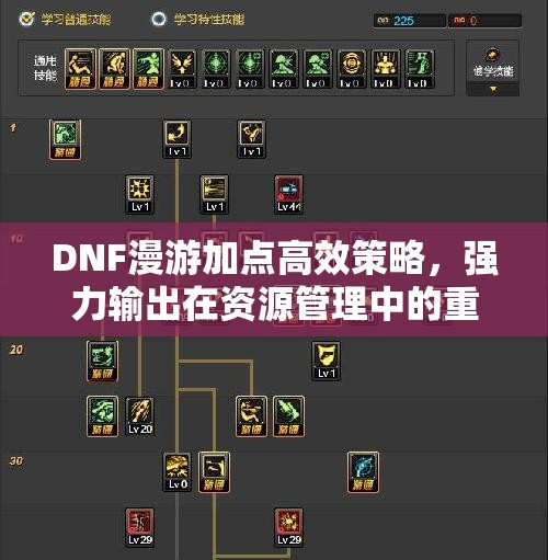 DNF漫游加点高效策略，强力输出在资源管理中的重要性及实施技巧