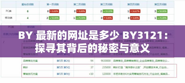 BY 最新的网址是多少 BY3121：探寻其背后的秘密与意义