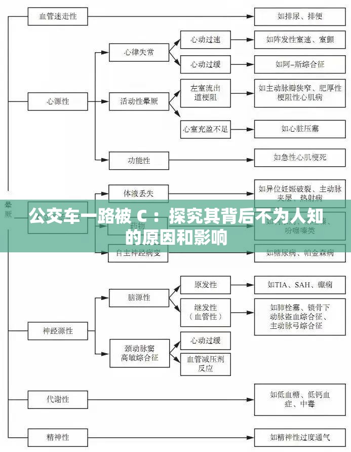 公交车一路被 C ：探究其背后不为人知的原因和影响