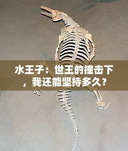 水王子：世王的撞击下，我还能坚持多久？