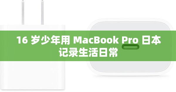 16 岁少年用 MacBook Pro 日本记录生活日常