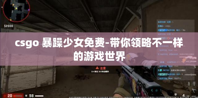 csgo 暴躁少女免费-带你领略不一样的游戏世界