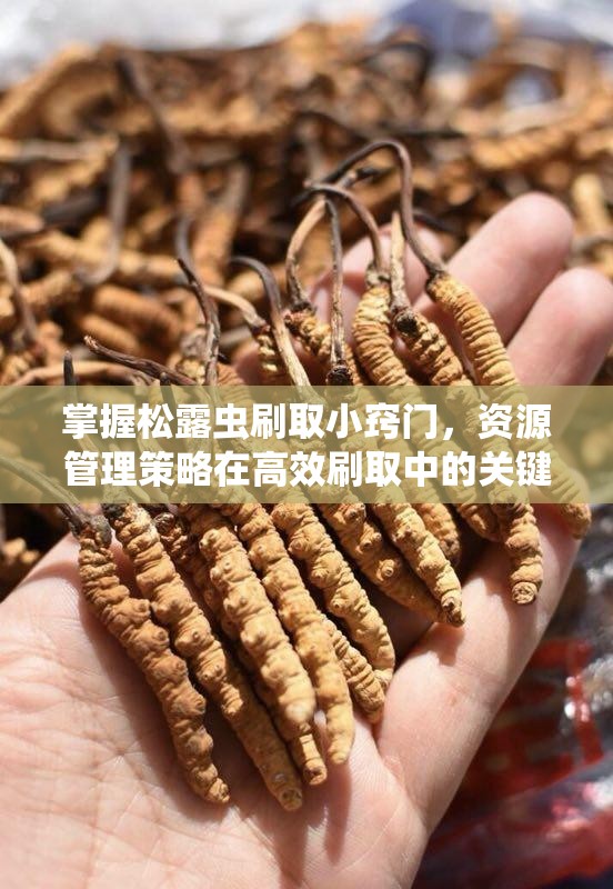 掌握松露虫刷取小窍门，资源管理策略在高效刷取中的关键作用