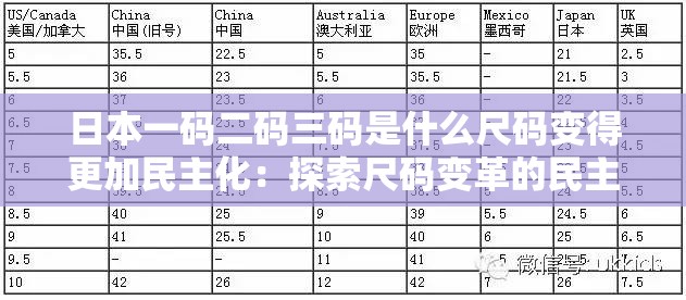 日本一码二码三码是什么尺码变得更加民主化：探索尺码变革的民主之路