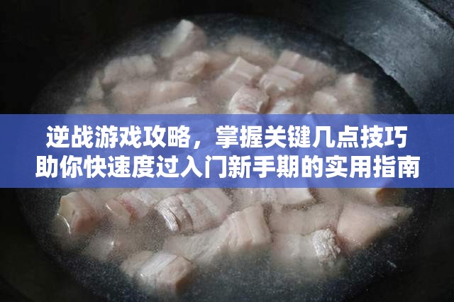 逆战游戏攻略，掌握关键几点技巧助你快速度过入门新手期的实用指南