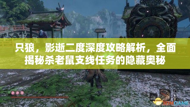 只狼，影逝二度深度攻略解析，全面揭秘杀老鼠支线任务的隐藏奥秘