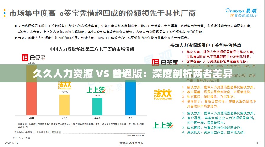 久久人力资源 VS 普通版：深度剖析两者差异