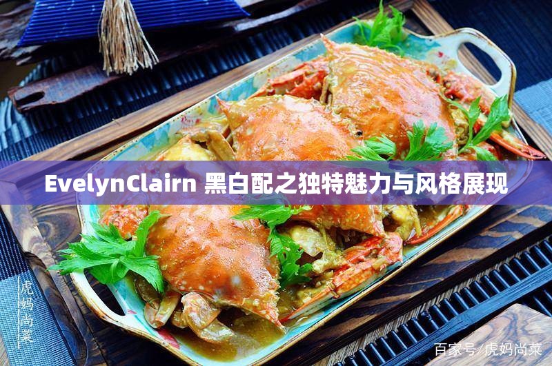 EvelynClairn 黑白配之独特魅力与风格展现