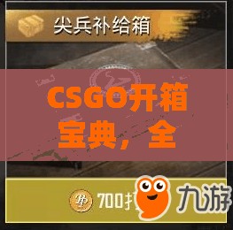 CSGO开箱宝典，全面解析箱子与钥匙的高效购买策略与秘籍