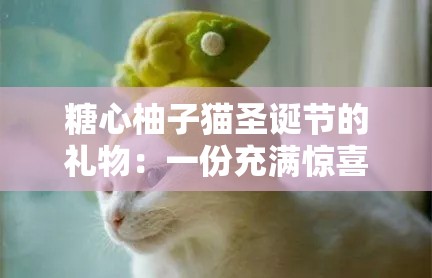 糖心柚子猫圣诞节的礼物：一份充满惊喜与温暖的心意呈现