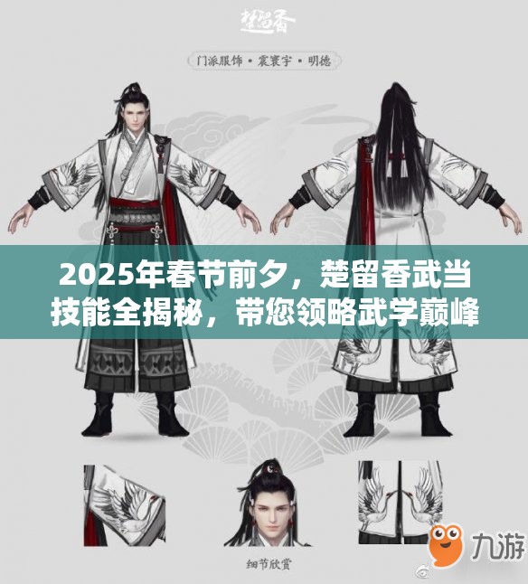 2025年春节前夕，楚留香武当技能全揭秘，带您领略武学巅峰之美