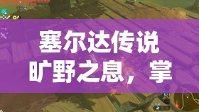 塞尔达传说旷野之息，掌握刷火龙致富策略，展现资源管理的高超艺术