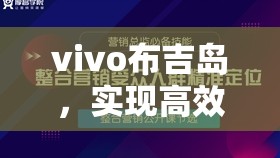 vivo布吉岛，实现高效管理、资源优化，助力游戏价值全面最大化