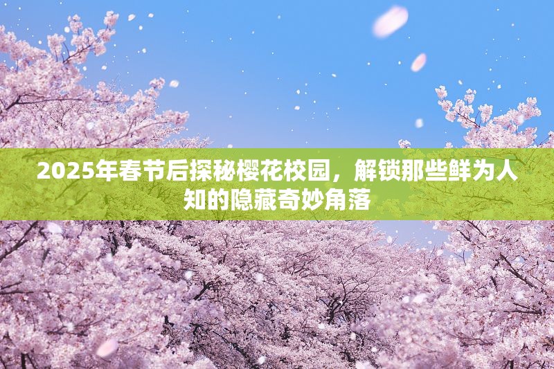 2025年春节后探秘樱花校园，解锁那些鲜为人知的隐藏奇妙角落