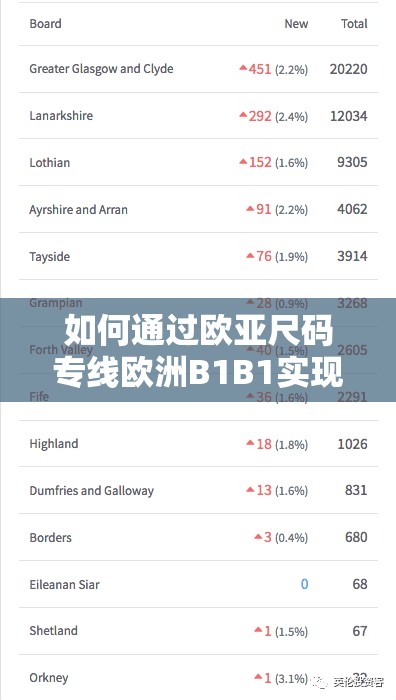 如何通过欧亚尺码专线欧洲B1B1实现更稳定、更快速的播放体验？