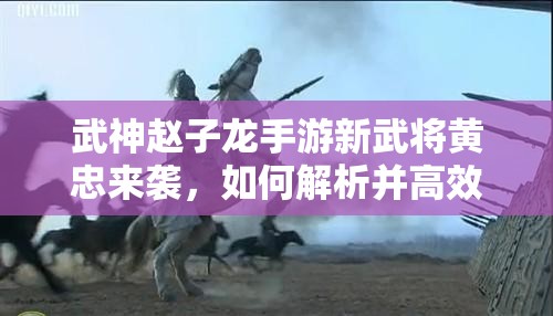 武神赵子龙手游新武将黄忠来袭，如何解析并高效管理资源成悬念？