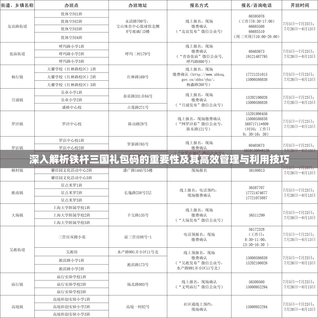 深入解析铁杆三国礼包码的重要性及其高效管理与利用技巧